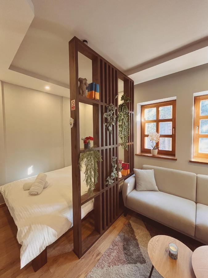 Astra Apartment Risovac