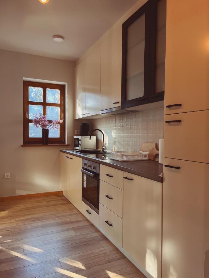 Apartment Astra Risovac