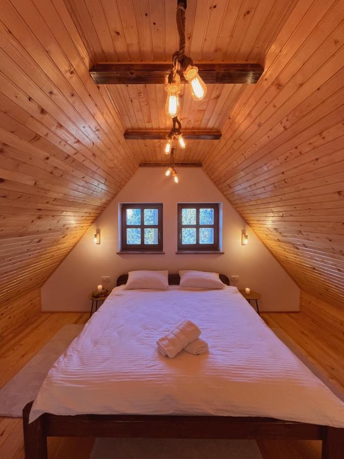 Astra Apartment Risovac
