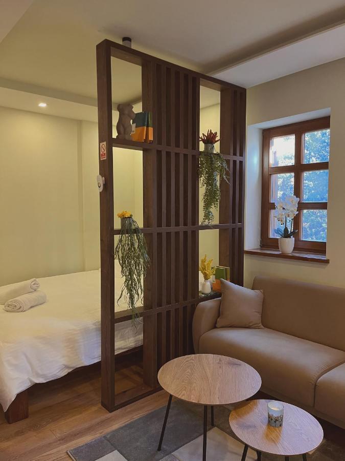 Astra Apartment Risovac